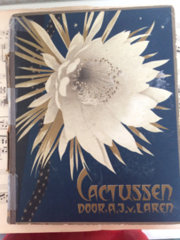 Verzamelalbum | Koninklijke Verkade's  Fabrieken N.V. Zaandam | "Cactussen" | 1931