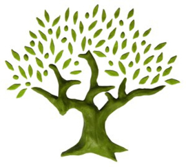 Planten een olijfboom - Palestina