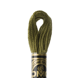 Borduurgaren | Groen | 3011 - DMC Mouline Special 25 (art. 117) splijtgaren (EAN) - donker khaki