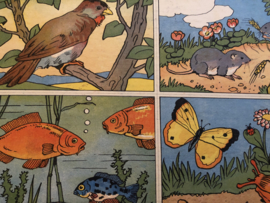 1950 | Kleurboek kinderkleurkaarten boek - boerderij dieren | ca. 1950