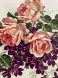 1916 | Briefkaarten | Rozen | Felicitatie kaart met rozen en paarse bloemen