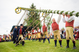 Digitaal patroonblad Meiboom