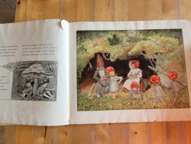 Elsa Beskow: Tomtebobarnen