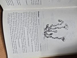 Björn Gidstam: Blomsterbok