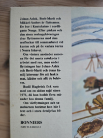 Bodil Hagbrink: Den langa rajden