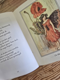 Cicely Mary Barker: Bloemenkinderen van de zomer