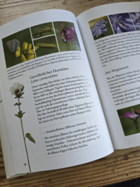 Sophia Schrödter und Marie Lang: Blütenreich für Wildbienen & co
