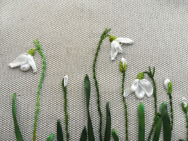 Jubileumpakket Blomsterstuga 15 jaar, winterpakket