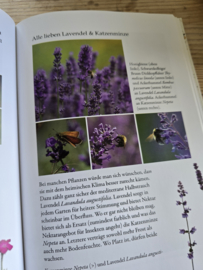 Sophia Schrödter und Marie Lang: Blütenreich für Wildbienen & co