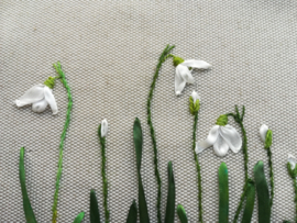 Online Workshop Botanisch (zijdelint) borduren: Sneeuwklokje