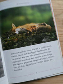 Så lever räven (Zo leeft de vos)