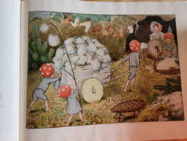 Elsa Beskow: Tomtebobarnen