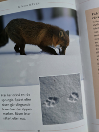Så lever räven (Zo leeft de vos)