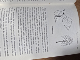 Björn Gidstam: Blomsterbok