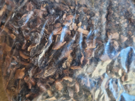 Walnoten, 250 gram
