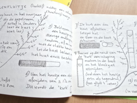 Jaarfeesten in het gezin: Sint Jan (Midzomer)