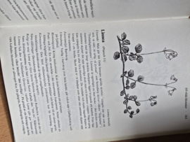 Björn Gidstam: Blomsterbok