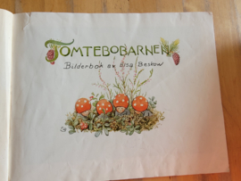 Elsa Beskow: Tomtebobarnen