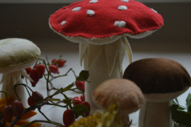 Digitaal Patroonblad Paddenstoelen