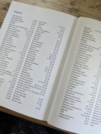 Sophia Schrödter und Marie Lang: Blütenreich für Wildbienen & co