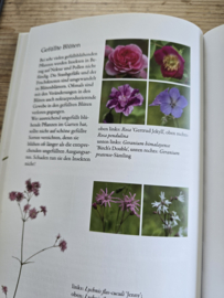 Sophia Schrödter und Marie Lang: Blütenreich für Wildbienen & co