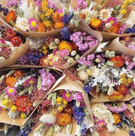 Letterbox gevuld met droogbloemen multi color