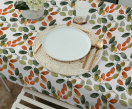 Geplastificeerd katoen - Epiro