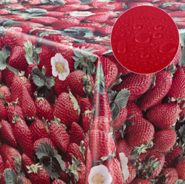 Tafelzeil - Strawberry/aardbei