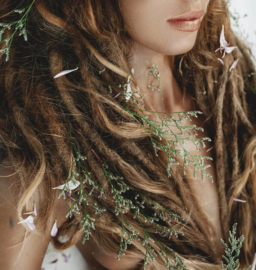 ↠ Fairy Locks / Dreads