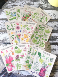Postkaart - Set van 12 kaarten met Wildpluk Recepten - Tanja Hilgers