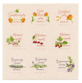 Postkaart - Set van 6 kaarten met Kruiden Recepten en 18 stickers - Tanja Hilgers