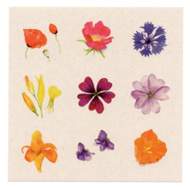 Postkaart - Set van 6 kaarten met Bloemen Recepten en 18 stickers - Tanja Hilgers