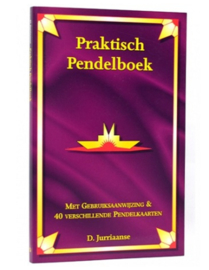 Praktisch pendelboek - D. Jurriaanse