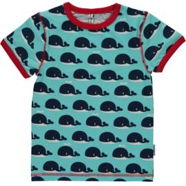 Maxomorra - T⁻shirt - Whale in 74/80 = Laatste