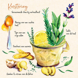 Postkaart - Set van 6 kaarten met Kruiden Recepten en 18 stickers - Tanja Hilgers