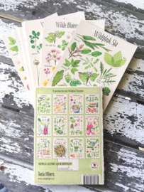 Postkaart - Set van 12 kaarten met Wildpluk Recepten - Tanja Hilgers