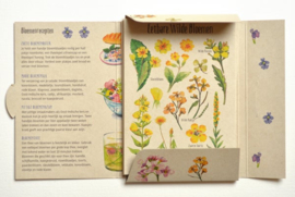 Postkaart - Set van 12 kaarten over eetbare bloemen - Tanja Hilgers