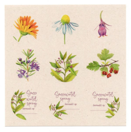 Postkaart - Set van 6 kaarten met Kruiden Recepten en 18 stickers - Tanja Hilgers