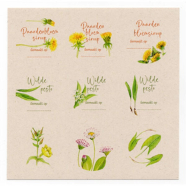 Postkaart - Set van 6 kaarten met Wildpluk Recepten en 18 stickers - Tanja Hilgers