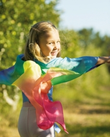 Sarah's Silks - Vleugels in zijde, regenboogkleuren - 83154