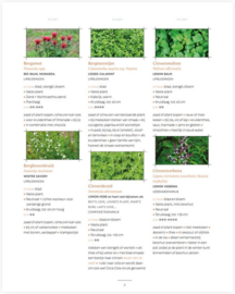 Een kleine eetbare tuin - Madelon Oostwoud