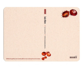 Postkaart - Eekhoorn - Warmte en rust - Tanja Hilgers