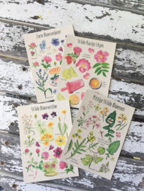 Postkaart - Set van 12 kaarten over eetbare bloemen - Tanja Hilgers