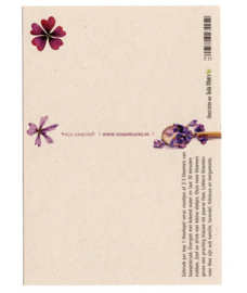 Postkaart - Bloementhee, voor een blij hart - Tanja Hilgers