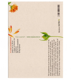 Postkaart - Beterschap, wondhelende goudsbloemzalf - Tanja Hilgers