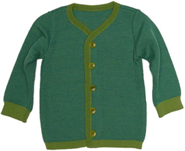 Disana - Cardigan - Groen Blauw melange in 98/104, 110/116, 122/128