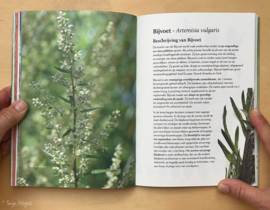 Bijvoet, het magische vrouwen- en sjamanenkruid  NIEUW Met gratis boekenlegger! - Tanja Hilgers -  In bestelling, voorradig op 9 april