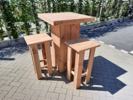 Sta tafel 80x80 met kruk Easy