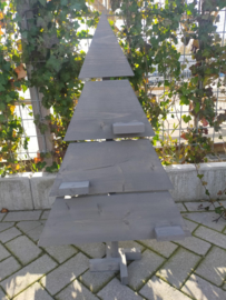 Kerstboom Middel