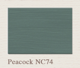 NC 74 Peacock - Painting the Past Lack